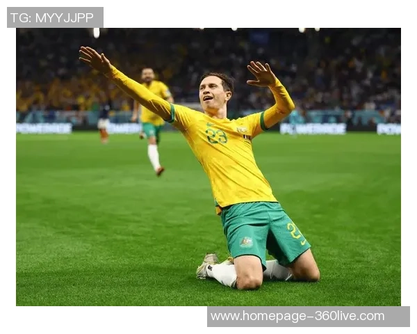 惠灵顿凤凰对阵布里班狮吼精彩赛事前瞻与分析